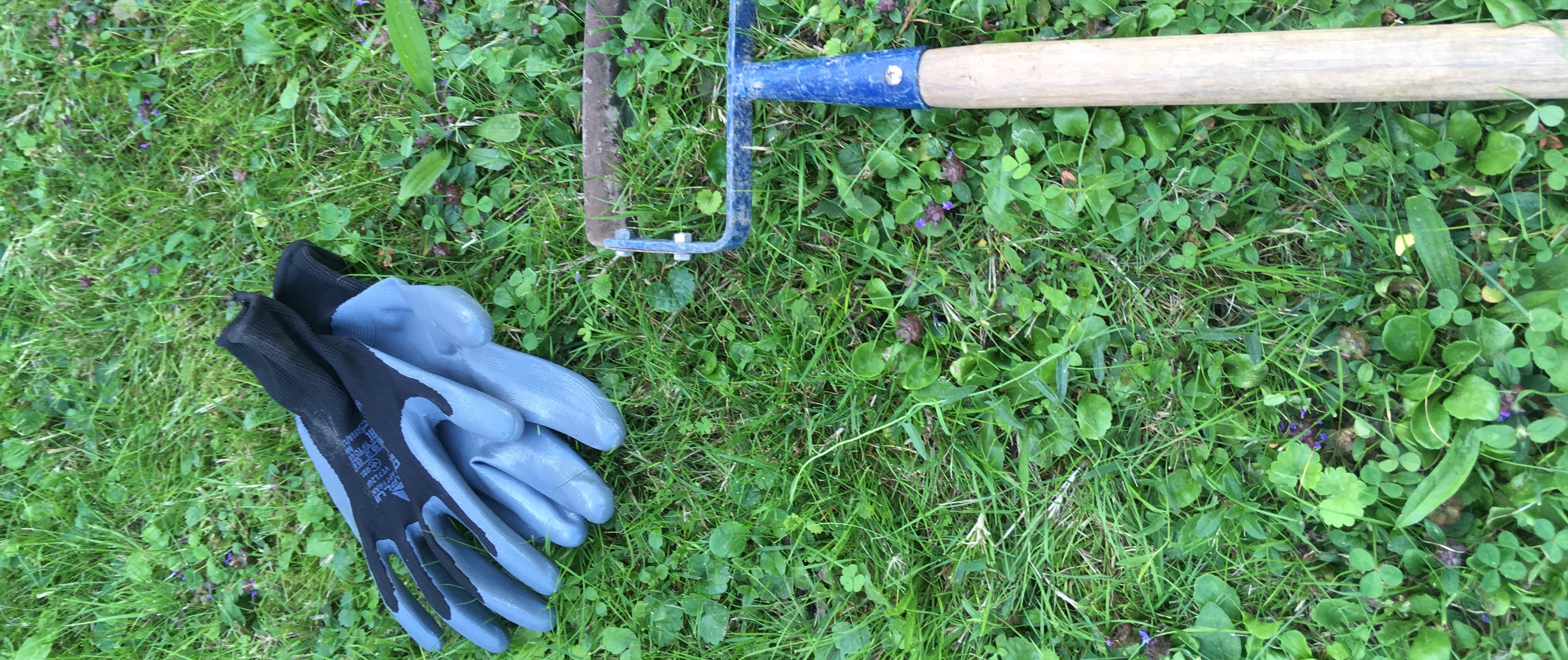 Ciao ciao… Les mauvaises herbes !