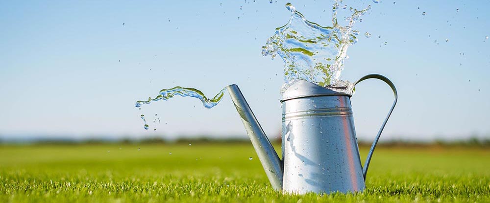 Ecol’eau !