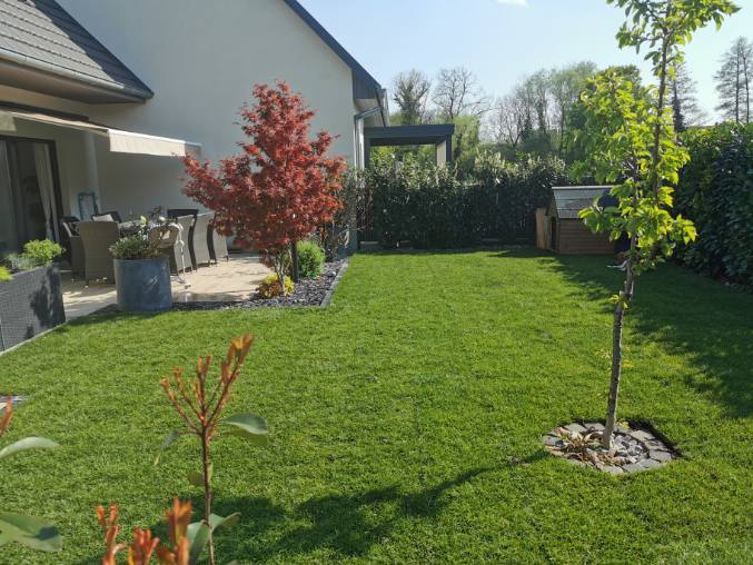 Gazon en rouleaux installé par un client à Issenheim