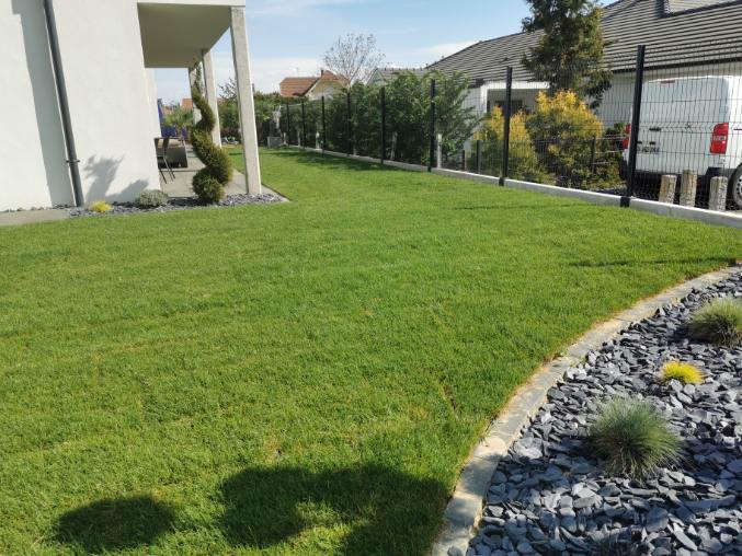 Gazon en rouleaux installé par un client à Berrwiller
