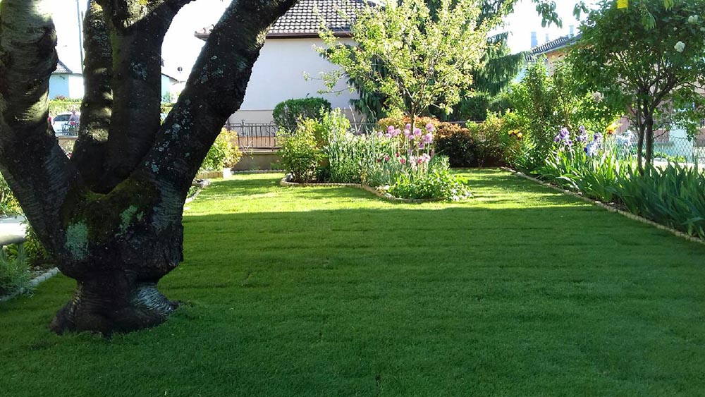 Gazon en rouleaux installé par un client à Kingersheim
