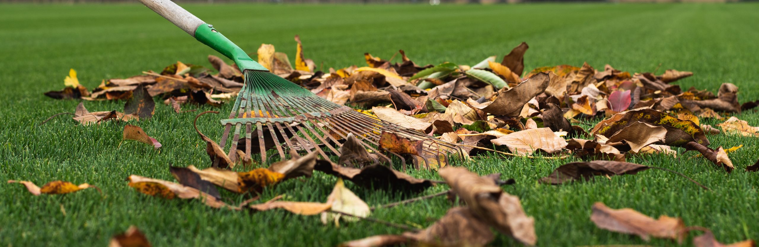 Couleurs d’automne