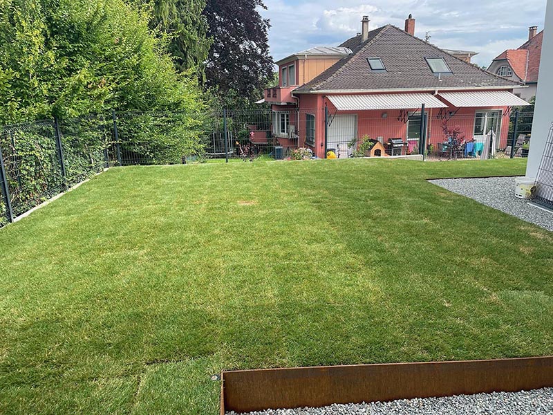 Gazon en rouleau à installé par Kubler Wolfarth Paysagistes à Reberg