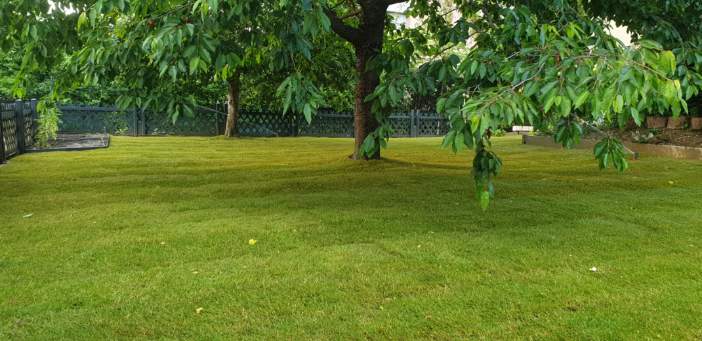 Gazon en rouleau à installé par un client à Boltzheim