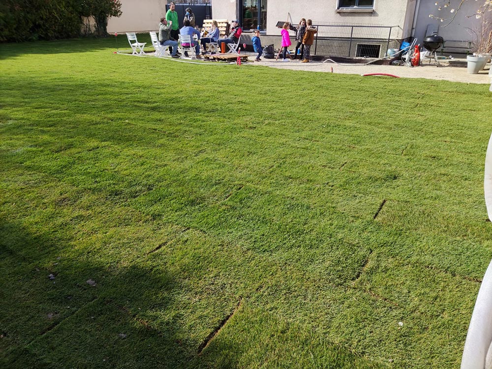 Gazon en rouleaux posé à Riedisheim par un de nos plus fidèle paysagiste !