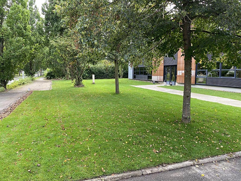 1200m² de gazon en rouleaux posé par le client à Mulhouse