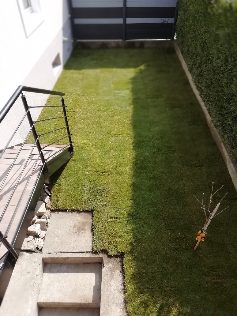 Avant-après gazon en rouleau installé à Rixheim