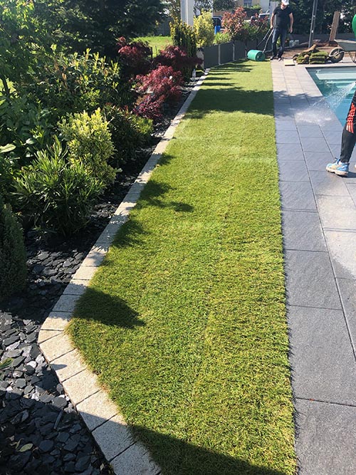 Gazon en rouleau installé à Pulversheim