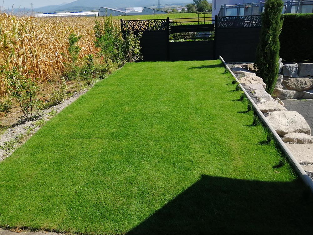 Gazon en rouleaux installé par un client à Hombourg